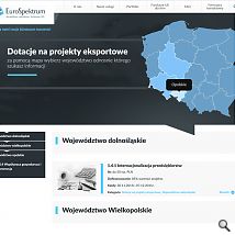 EuroSpektrum - przykładowa podstrona